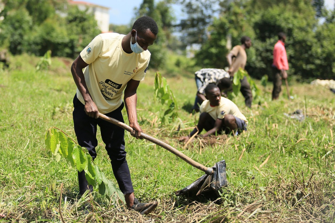 Projeto climático da STIHL na fase de plantio no Uganda